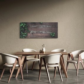Obraz - Brečtan (120x50 cm)