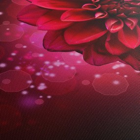 Obraz červené kvety (120x50 cm)