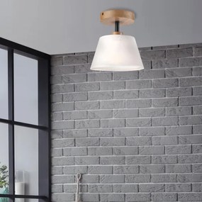 Brilagi - LED  Prisadený luster ANTHONY 1xE14/60W/230V dub/biela