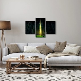 Obraz temného lesa (90x60 cm)