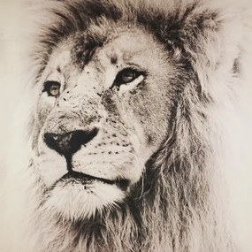 Obraz tlačený na plátne 80x80 PRC1128