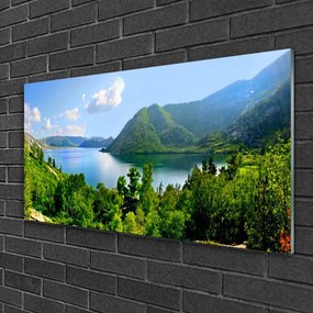 Obraz na skle Les jazero hory príroda 100x50 cm