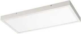 Rabalux DAMEK2 LED stropné svietidlo 71077