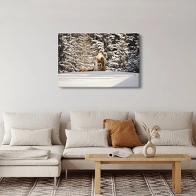 Obraz - Kôň v zimnej krajine (90x60 cm)
