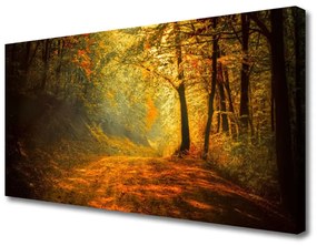 Obraz Canvas Les cestička stromy príroda 125x50 cm