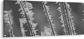 Obraz - Mrazivá zima (120x50 cm)
