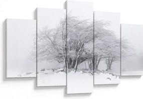 Obraz - Biela zima (150x105 cm)