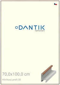 DANTIK rám na obraz 70x100 | ALU Dýha ořech lak matný (Plexi Čiré)