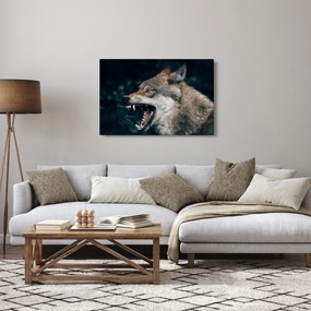 Obraz vlka (90x60 cm)
