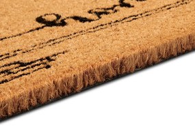 Hanse Home, Rohožka Mačka 106200 - na von aj na doma, 40x70, hnedá, chodba / predsieň