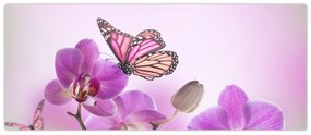 Obraz - Motýľ na kvetoch orchidey, lila (120x50 cm)