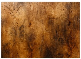 Sklenený obraz - Detail dreva (70x50 cm)