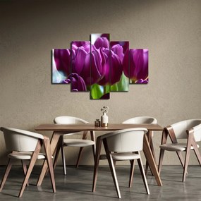 Obraz tulipánov (150x105 cm)