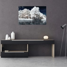 Obraz - Snehobiele stromy (90x60 cm)