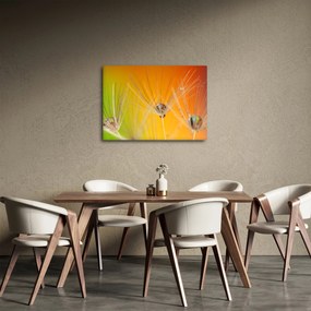 Obraz kvapiek na rastline (70x50 cm)