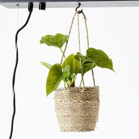 Brilliant - Závesný luster BANKWOOD 5xE27/28W/230V, topoľ