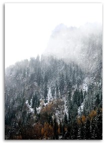 Gario Obraz na plátne Zasnežené hory - Dmitry Belov Rozmery: 40 x 60 cm