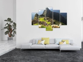 Obraz - Machu Picchu (150x105 cm)