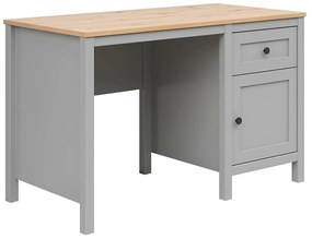 Písací stôl BRW Salga 1 (arktická sivá + dub artisan) . Akcia -30%. Vlastná spoľahlivá doprava až k Vám domov. 1098465