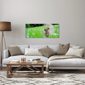 Obraz púpavy (120x50 cm)