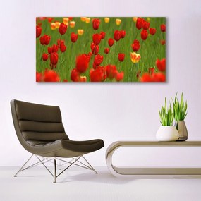 Obraz na akrylátovom skle Tulipány rastlina 120x60 cm