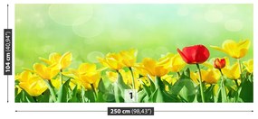 Fototapeta Vliesová Žlté tulipány 152x104 cm