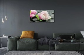 Sklenený obraz Magnolia kamene 120x60 cm