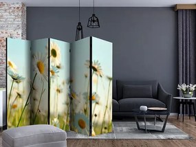 Paraván - Daisies - spring meadow II [Room Dividers] Veľkosť: 225x172, Verzia: Obojstranný