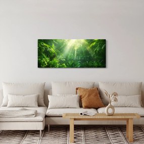 Obraz - Dažďový prales (120x50 cm)