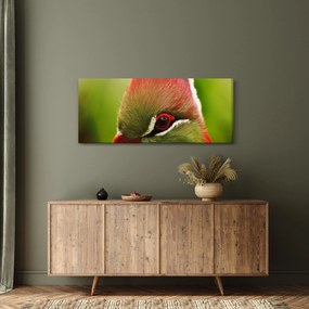 Obraz farebného vtáka (120x50 cm)