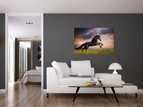 Obraz - Kone (90x60 cm)