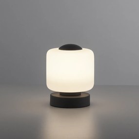Stolná lampa tmavosivá vrátane LED 3-stupňovo stmievateľná dotykom - Mirko