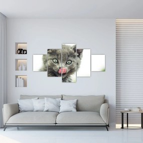 Obraz oblizujícího sa mačiatka (125x70 cm), 40 ďalších rozmerov