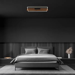 Briloner 3777-015 - LED stropné svietidlo FRAME LED/21W/230V 3000K