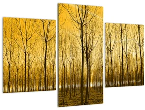 Obraz lesa pri západe slnka (90x60 cm)