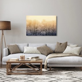 Obraz mrazivého lesa (90x60 cm)