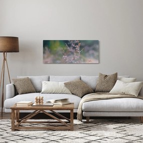 Obraz - Detail traviny (120x50 cm)