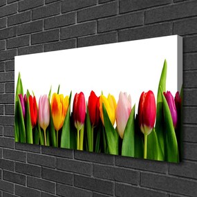 Obraz na plátne Tulipány rastlina 120x60 cm