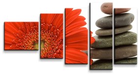 Sablio Obraz - 5-dílný Gerbera s kameňmi - 100x60 cm
