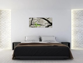 Obraz - Praskliny (120x50 cm)