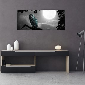 Obraz - Nočná sova, modrá (120x50 cm)