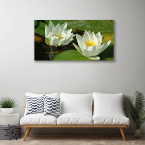 Obraz Canvas Kvety rastliny príroda 120x60 cm