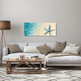 Obraz - Hviezdica na pláži (120x50 cm)