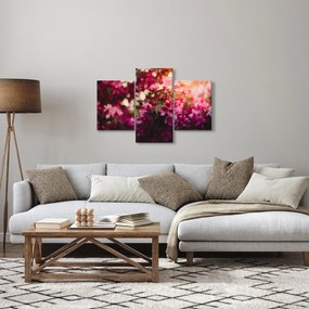 Obraz kvetov rozkvitnutého kríku (90x60 cm)