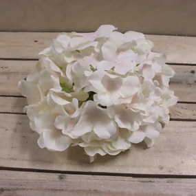 Kvet hortenzie krémová, 6 ks 371194-26