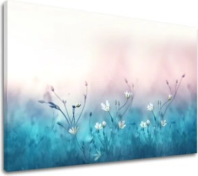 Obraz na stenu BIELE KVETY_156-11