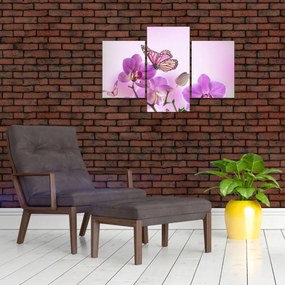Obraz - Motýľ na kvetoch orchidey, lila (90x60 cm)