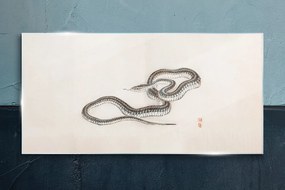 Sklenený obraz Had