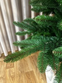 Jedľa Karpatská na pni 220cm
