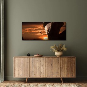 Obraz slona (120x50 cm)